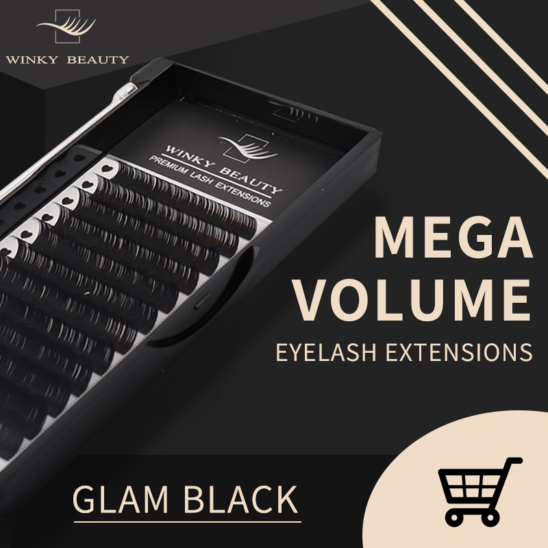 Eyelash Extensions Classic - Winky Beauty Niestandardowe logo Indywidualne przedłużanie